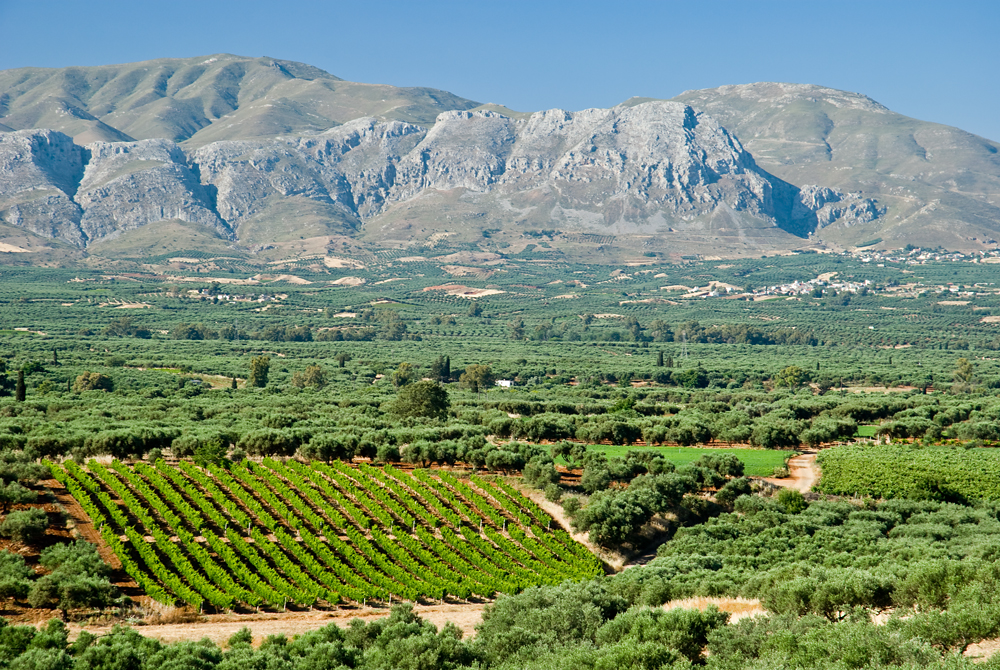 369_Kreta Wschodnia.jpg